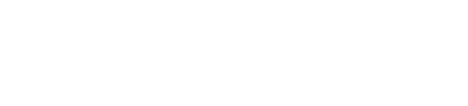 Power Bi