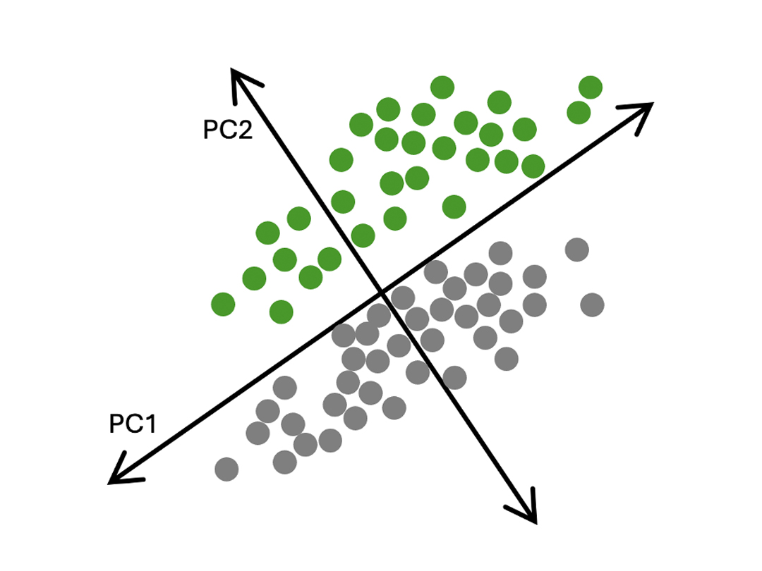 Dimensionality Reduction Unsupervised