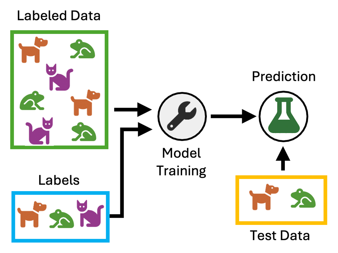 Image Classification Supervised